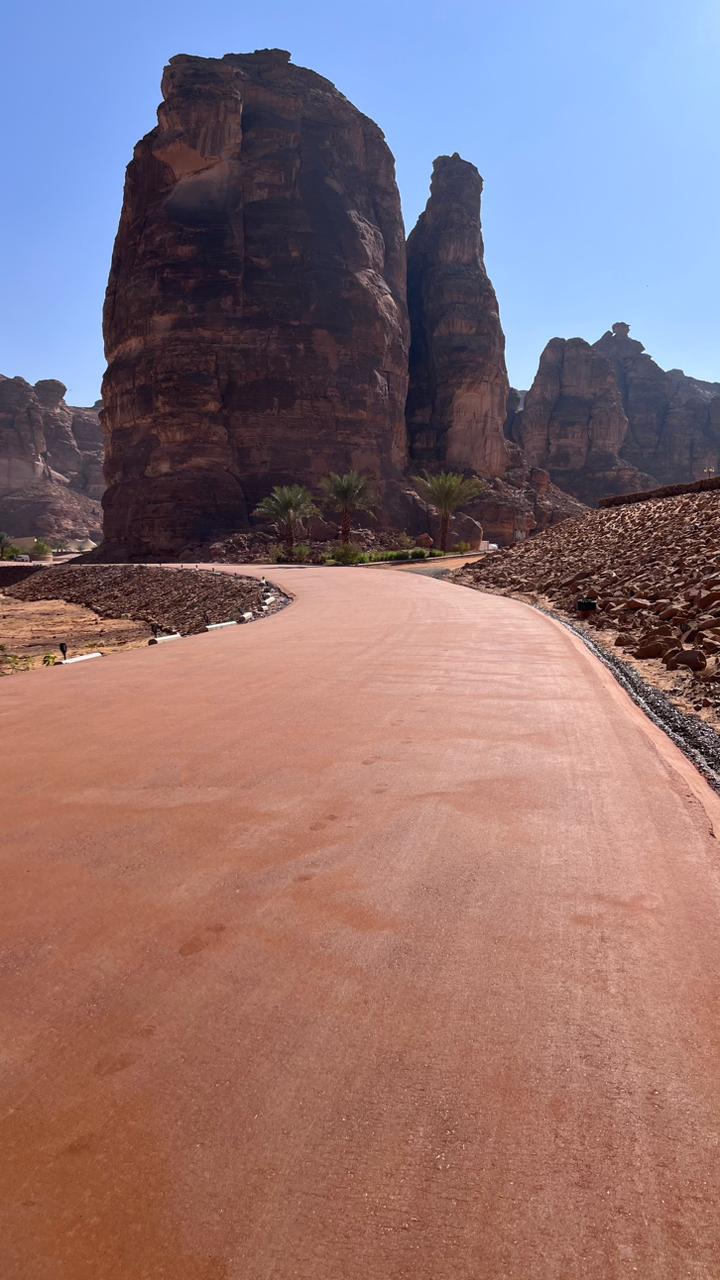 تثبيت التربة